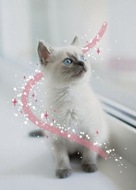 Cute Kitten with Big Dreams