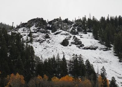 Snowy Mountainside