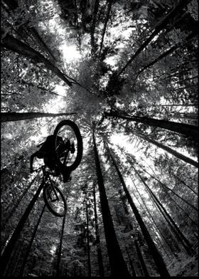 Mountain Biker in Forest Mountain Bike Crew