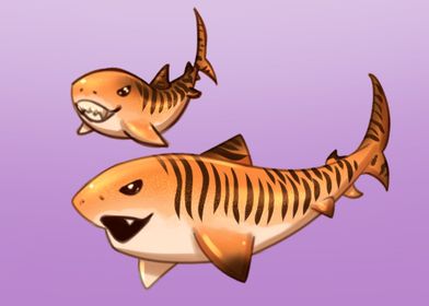 Tiger Cake Sharks