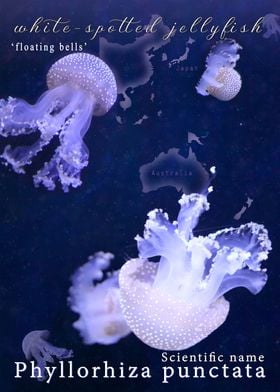 White-Spotted Jellyfish