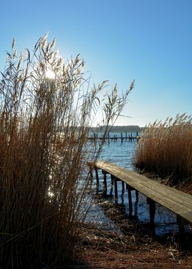 Wooden Dock by the Lake