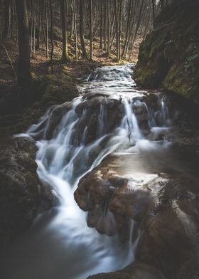 Forest Waterfall