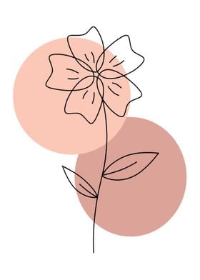 Minimalist Flower Line Art