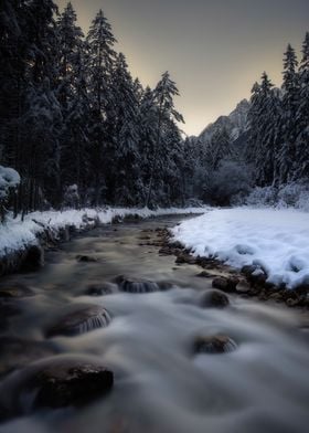 Snowy River in Forest