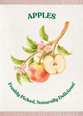 Apples Watercolor Illustration