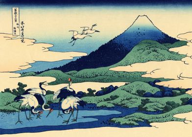 Mount Fuji Cranes