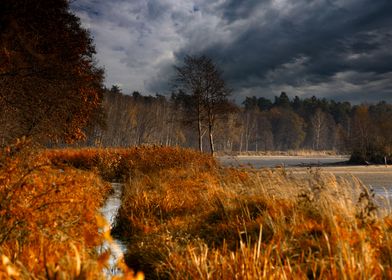 Autumn River Landscape