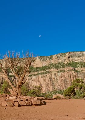 Grand Canyon Landscape with Moon