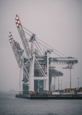 Hamburg Harbor Cranes