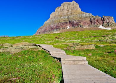 Glacier National Park Trail from Logan's Pass