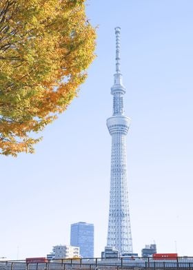 Tokyo Skytree with Autumn Leaves