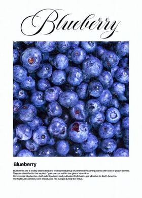 Blueberry Close-Up