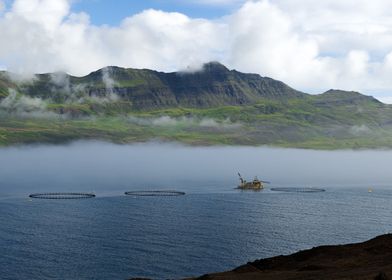 Misty Fjord with Fish Farms in Iceland