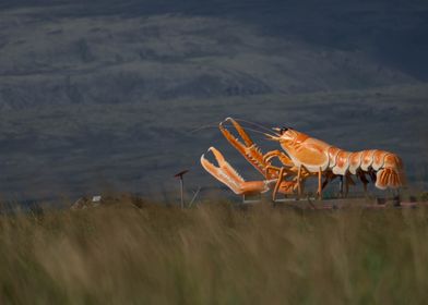 Giant Lobster Sculpture in Iceland