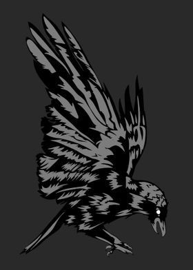 Black Raven Illustration