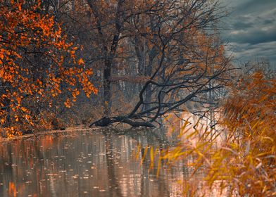 Autumn River Scene