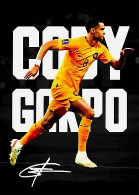 Cody Gakpo Netherlands Team