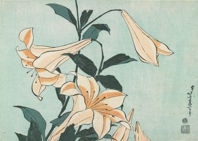 Lilies by Hokusai