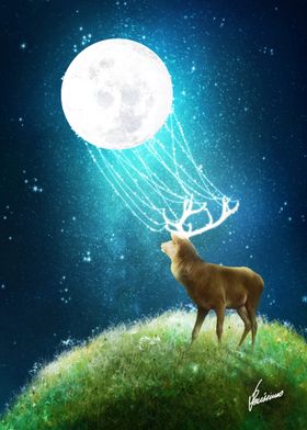 Deer Moonlight