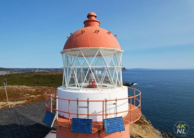 Ferryland Lighthouse Surprise