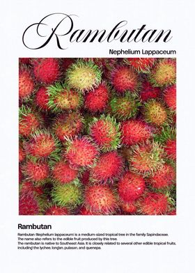 Rambutan Fruit Close-Up