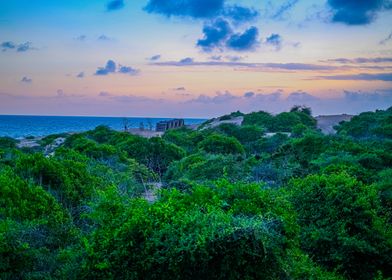 Coastal Sunset Landscape