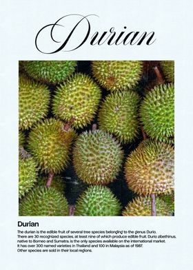 Durian Fruit Close-Up