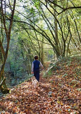 Boy and Dog on Forest Path