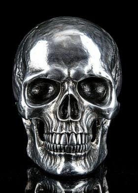 Silver Skull Sculpture