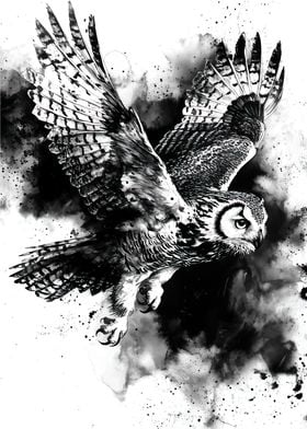 Black and White Owl in Flight