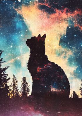 Cat Looking the Galaxy