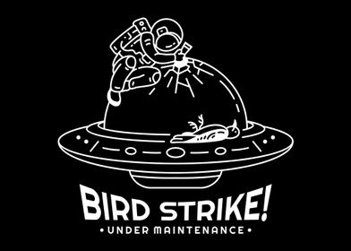 UFO Bird Strike