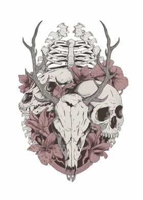 Skull and Floral Design