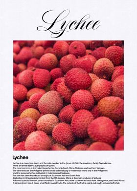 Lychee Fruit Close-Up