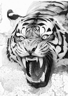 Angry Tiger Illustration