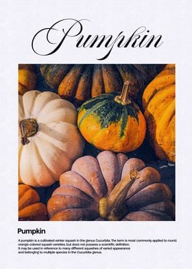 Pumpkin Harvest