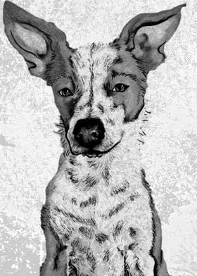 Dog Portrait in Black and White