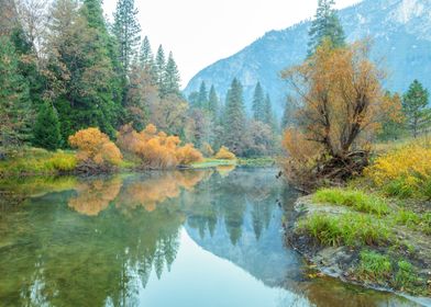 Autumn Reflections at Merced