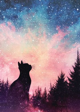 Black Cat Night Sky