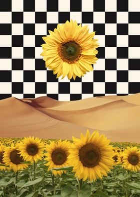 Sunflowers and Desert