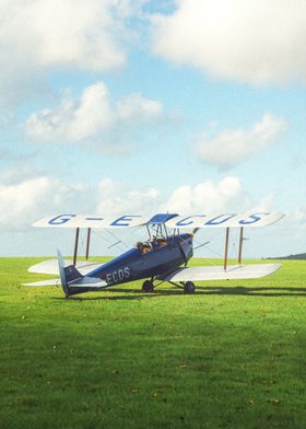 Vintage Biplane on Grass