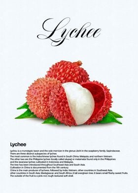 Lychee Fruit Illustration