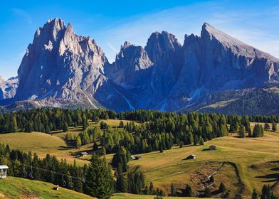 Mountain Landscape with Forest