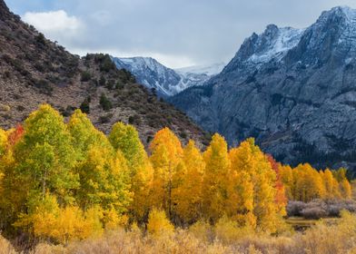 Autumn Mountain Landscape