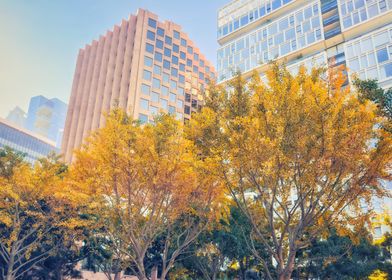 Autumn Cityscape