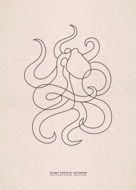 line art giant pacific octopus 