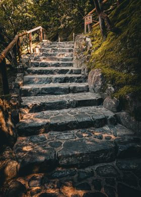 Stone Steps in Forest