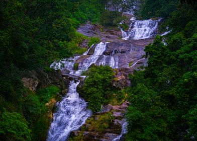 Waterfall in Lush Forest