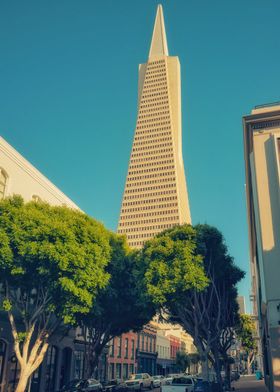 Transamerica Pyramid Skyline